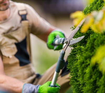 Transforming Your Property: Expert Landscaping Services in Charleston