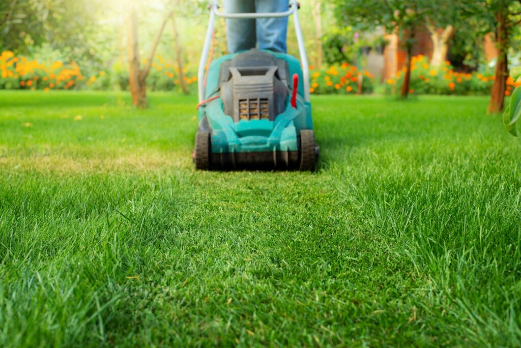 Charleston lawn care